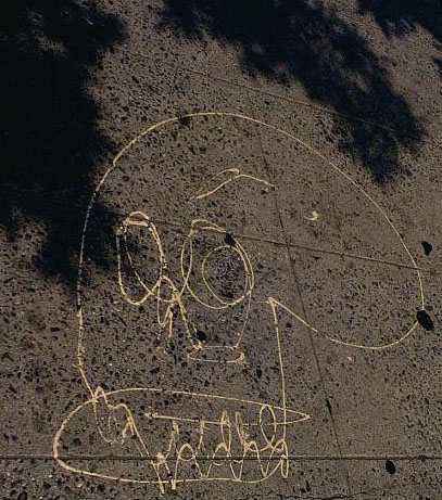 photo by a. fluffy bunny